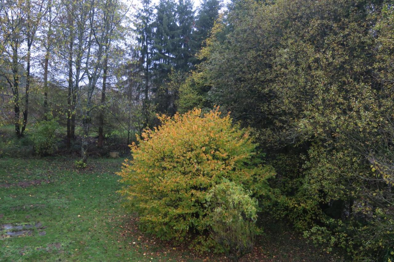 Auszeit Daire Gummersbach Dış mekan fotoğraf